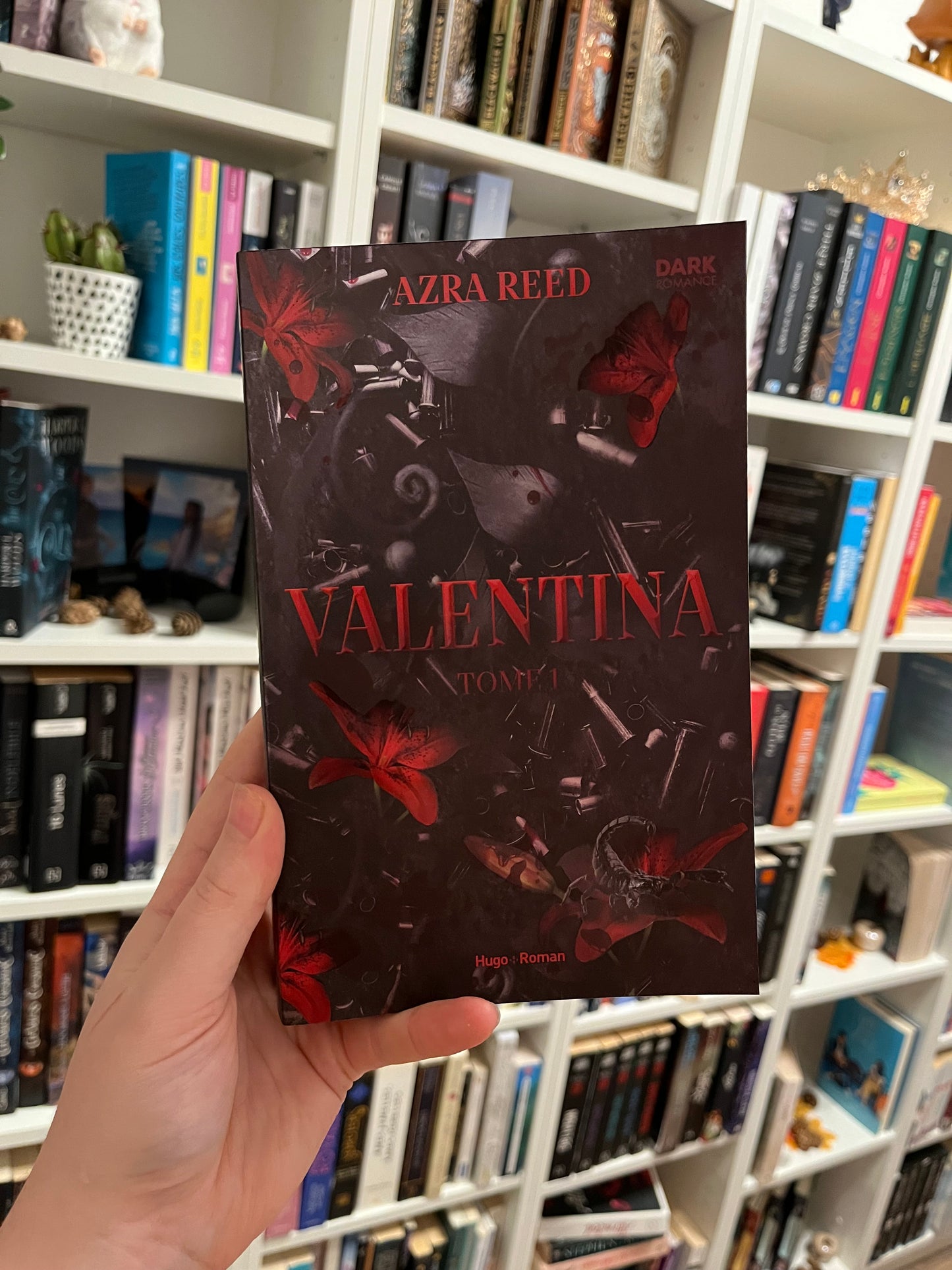 Box « Valentina » - Dark romance  octobre 2024