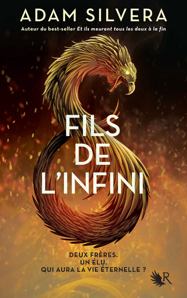 Fils de l'Infini (tome 1)