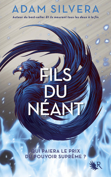 Fils de l'Infini : Fils du Néant (tome 2)