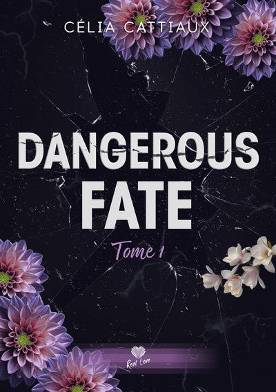 Dangerous fate : Je te retrouverai (tome 1)